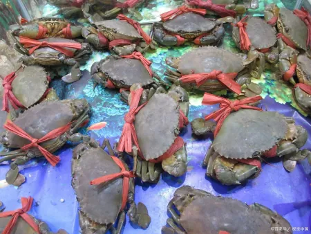 夏至吃三鲜，快乐似神仙，6月21日夏至，3鲜指啥？咋吃更受益